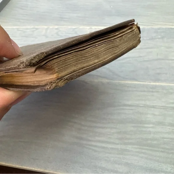 Antique THE SUNNY SIDE; or, the Country Minister's Wife 1851Hardback Book - Picture 6 of 17